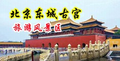 日韩大鸡巴插抽小穴中国北京-东城古宫旅游风景区